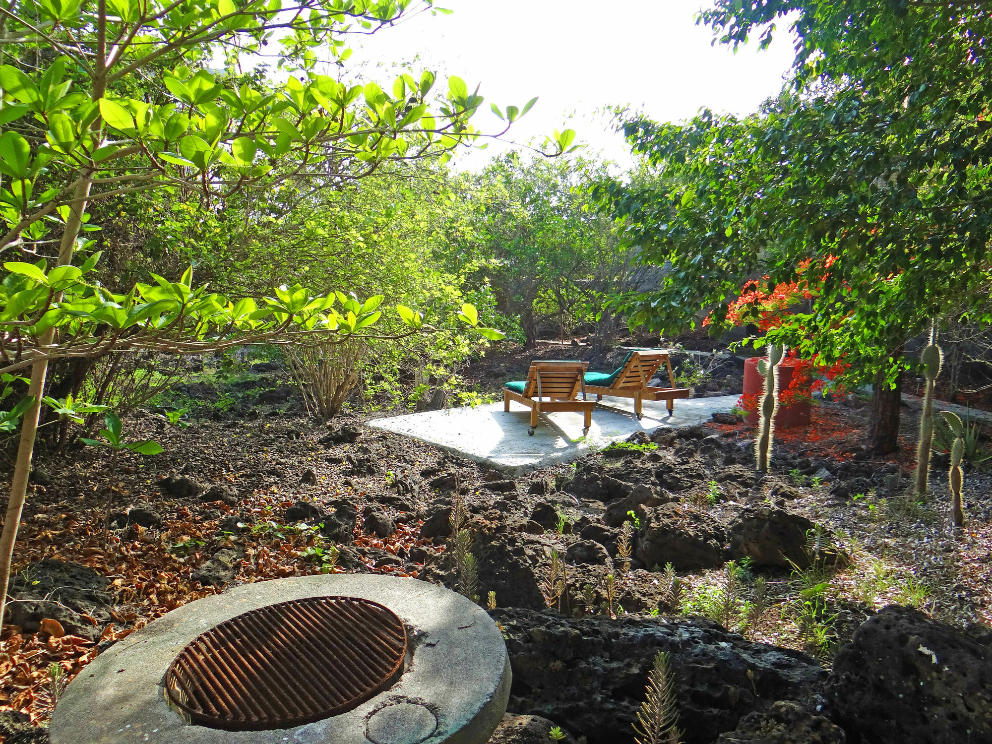 Galapagos Chalet Пуэрто-Айора Экстерьер фото