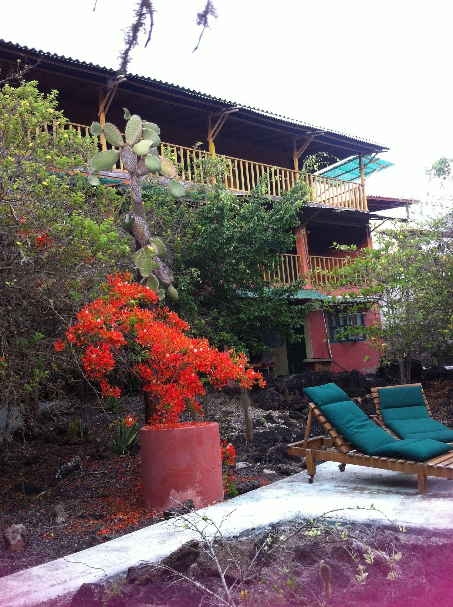 Galapagos Chalet Пуэрто-Айора Экстерьер фото
